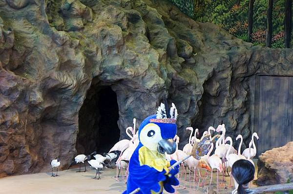 DSC01115-1024.jpg DSC01115-1024.jpg