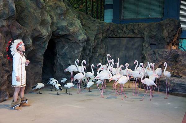 DSC01117-1024.jpg DSC01117-1024.jpg