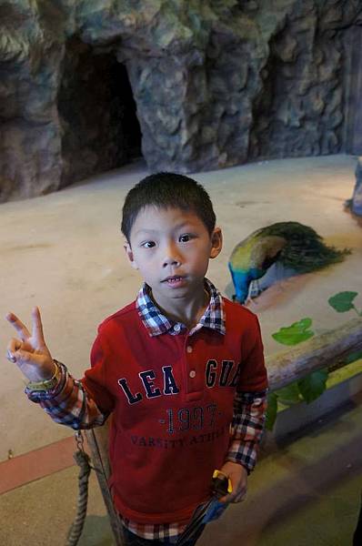 DSC01137-1024.jpg DSC01137-1024.jpg