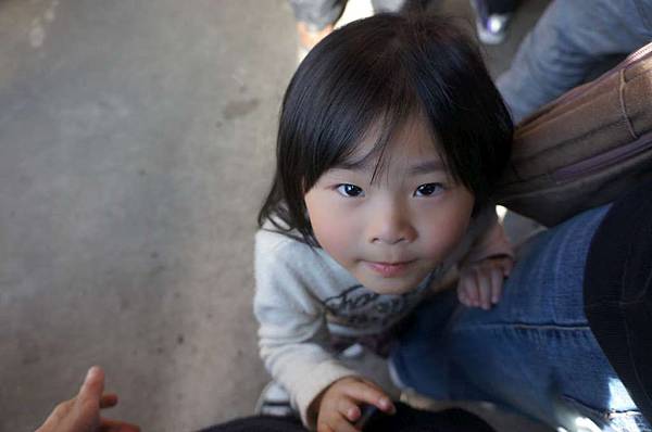 DSC01156-1024.jpg DSC01156-1024.jpg