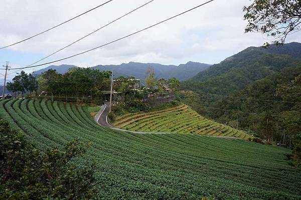 DSC04657-1024.jpg DSC04657-1024.jpg