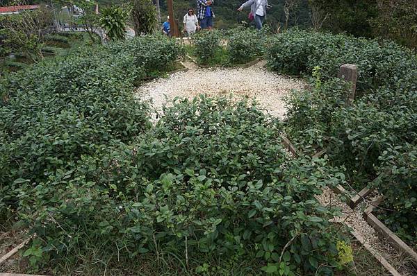 DSC04667-1024.jpg DSC04667-1024.jpg