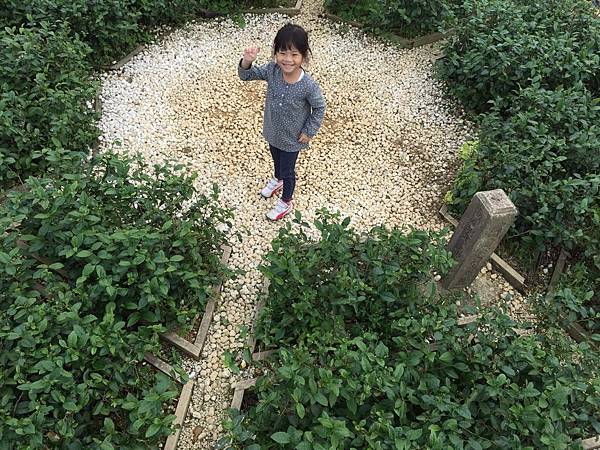 Image_5ac340f.jpg Image_5ac340f.jpg