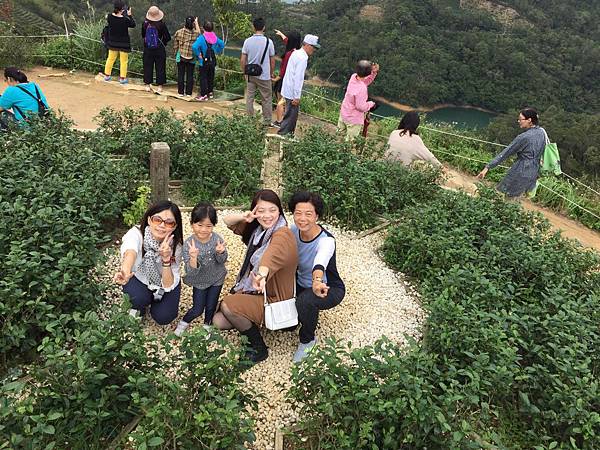 Image_72a573f.jpg Image_72a573f.jpg