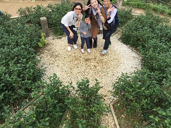 Image_606e602.jpg Image_606e602.jpg