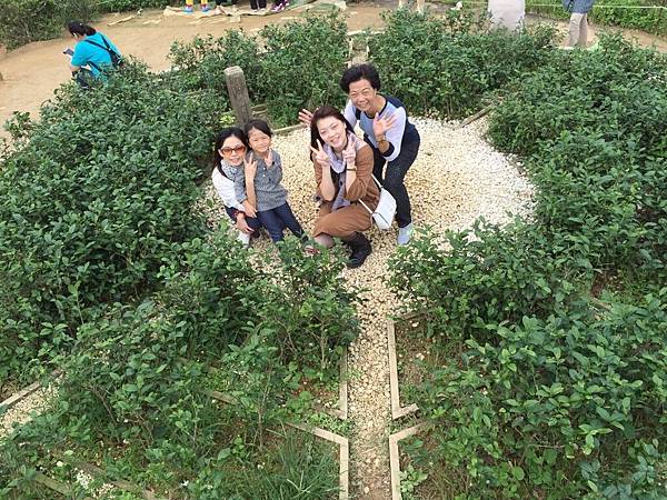 Image_34958d3.jpg Image_34958d3.jpg