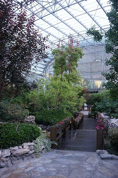 DSC03478-1024.jpg DSC03478-1024.jpg