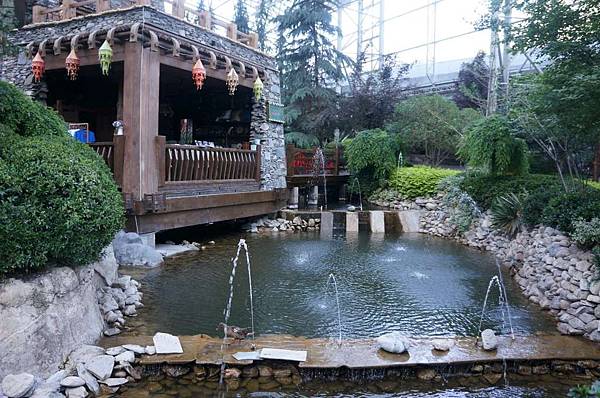 DSC03482-1024.jpg DSC03482-1024.jpg