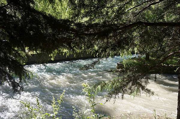 DSC03498-1024.jpg DSC03498-1024.jpg