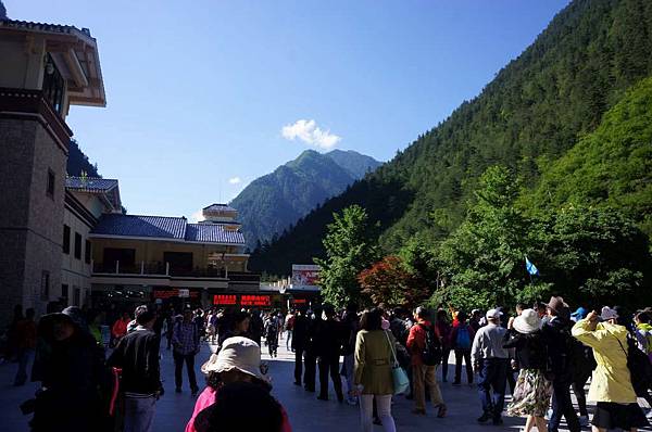 DSC03513-1024.jpg DSC03513-1024.jpg