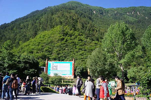 DSC03514-1024.jpg DSC03514-1024.jpg