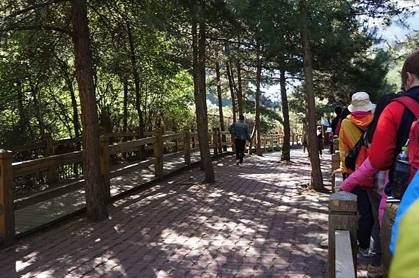 DSC03533-1024.jpg DSC03533-1024.jpg