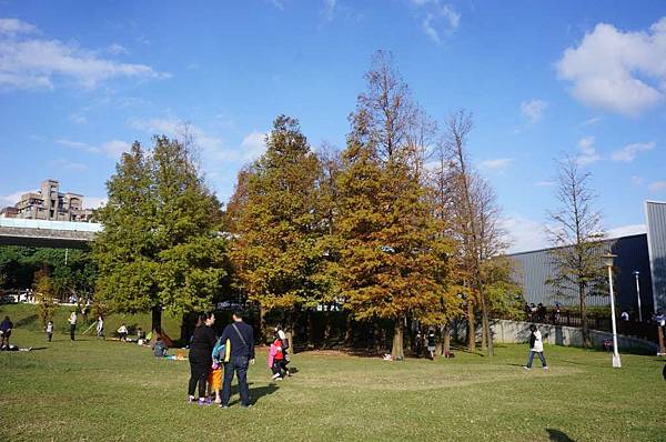 DSC05690-1024.jpg DSC05690-1024.jpg