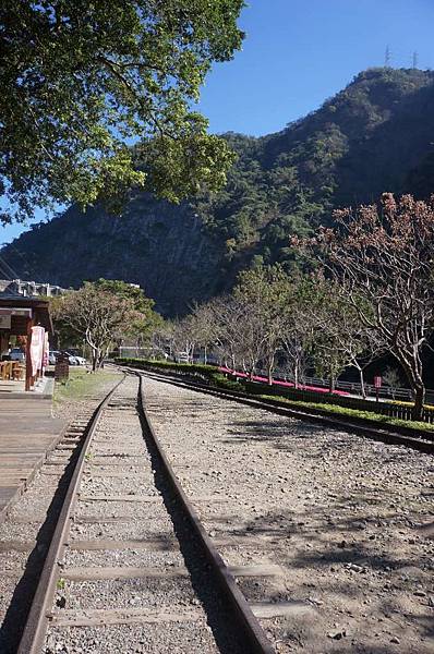 DSC07123-1024.jpg DSC07123-1024.jpg