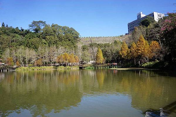 DSC07131-1024.jpg DSC07131-1024.jpg