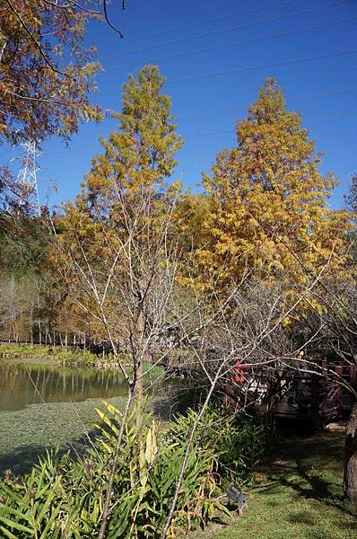 DSC07140-1024.jpg DSC07140-1024.jpg