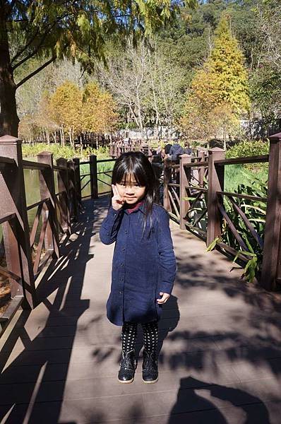 DSC07150-1024.jpg DSC07150-1024.jpg