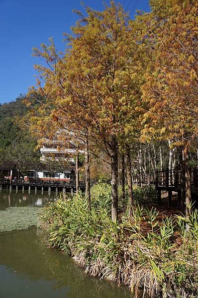 DSC07170-1024.jpg DSC07170-1024.jpg