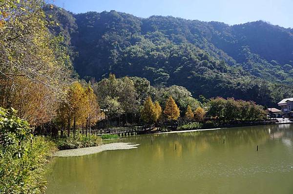 DSC07178-1024.jpg DSC07178-1024.jpg