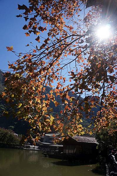 DSC07222-1024.jpg DSC07222-1024.jpg