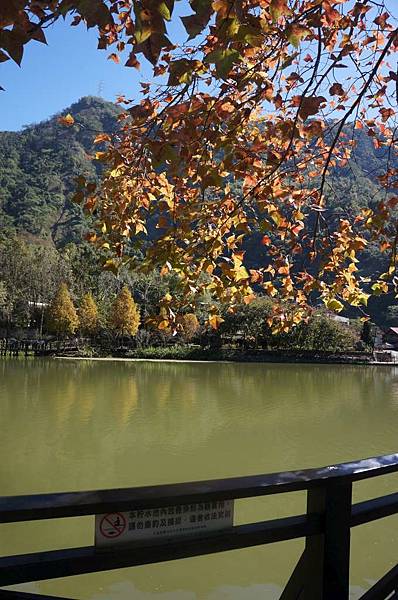 DSC07219-1024.jpg DSC07219-1024.jpg