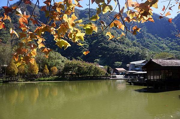 DSC07232-1024.jpg DSC07232-1024.jpg