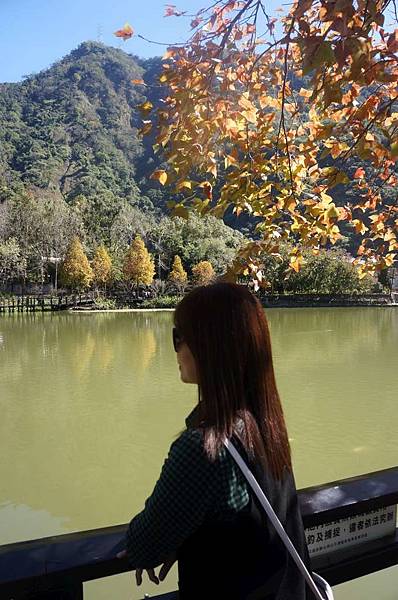 DSC07243-1024.jpg DSC07243-1024.jpg