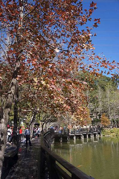 DSC07249-1024.jpg DSC07249-1024.jpg