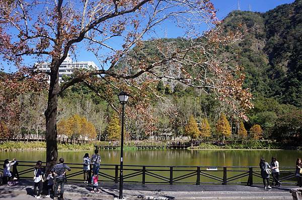 DSC07283-1024.jpg DSC07283-1024.jpg