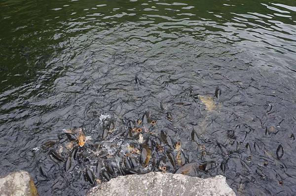 DSC00839-1024.jpg DSC00839-1024.jpg