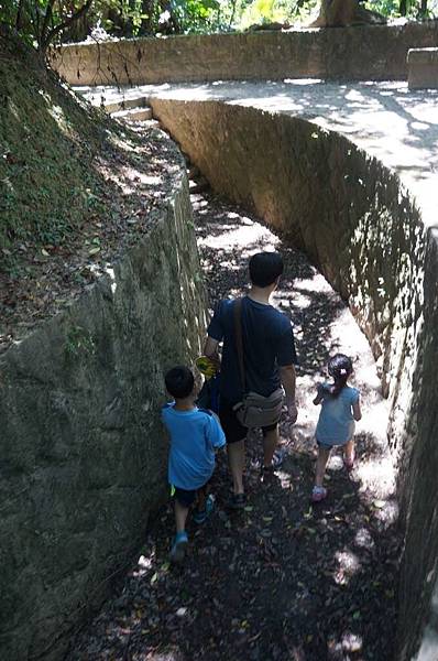 DSC02149-1024.jpg DSC02149-1024.jpg