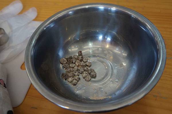 DSC04279-1024.jpg DSC04279-1024.jpg