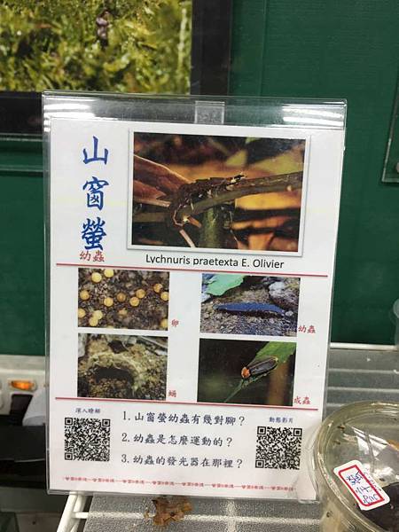 IMG_0092-1024.jpg IMG_0092-1024.jpg