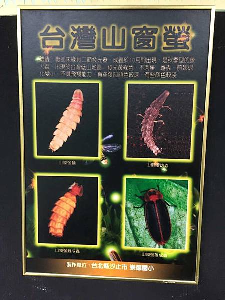 IMG_0095-1024.jpg IMG_0095-1024.jpg