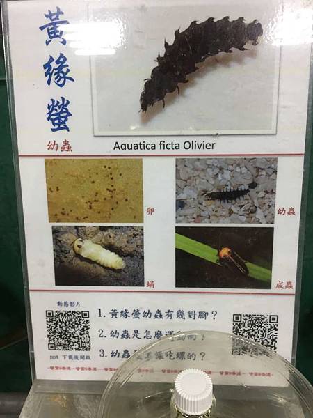 IMG_0097-1024.jpg IMG_0097-1024.jpg