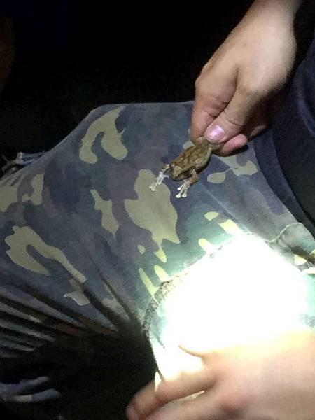 IMG_0100-1024.jpg IMG_0100-1024.jpg