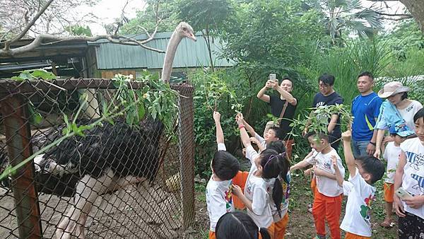 31960084_10156153044783197_5998716419288596480_n.jpg 31960084_10156153044783197_5998716419288596480_n.jpg