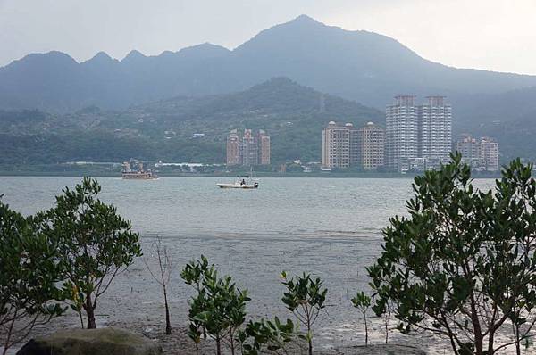 DSC01550-1024.jpg DSC01550-1024.jpg