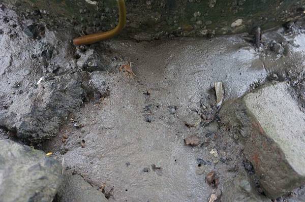 DSC01552-1024.jpg DSC01552-1024.jpg