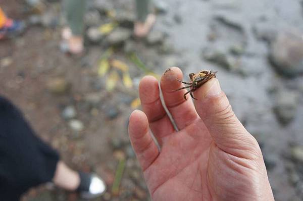 DSC01558-1024.jpg DSC01558-1024.jpg