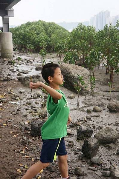 DSC01569-1024.jpg DSC01569-1024.jpg