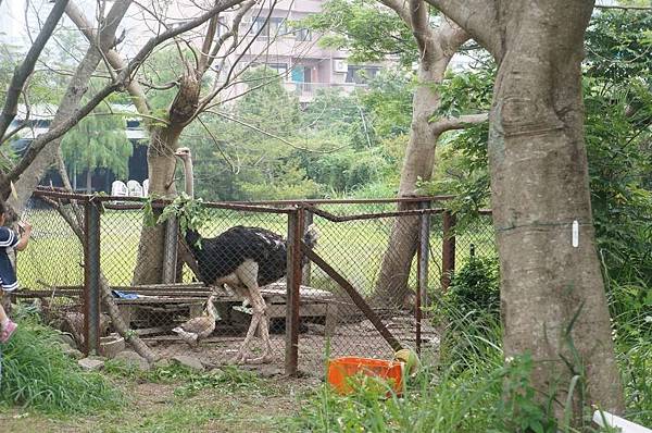 DSC01581-1024.jpg DSC01581-1024.jpg