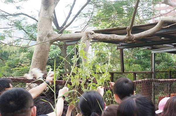 DSC01588-1024.jpg DSC01588-1024.jpg