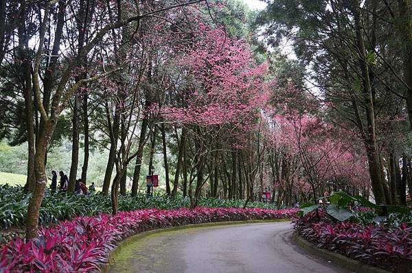 DSC01551_decrypted-1024.jpg DSC01551_decrypted-1024.jpg