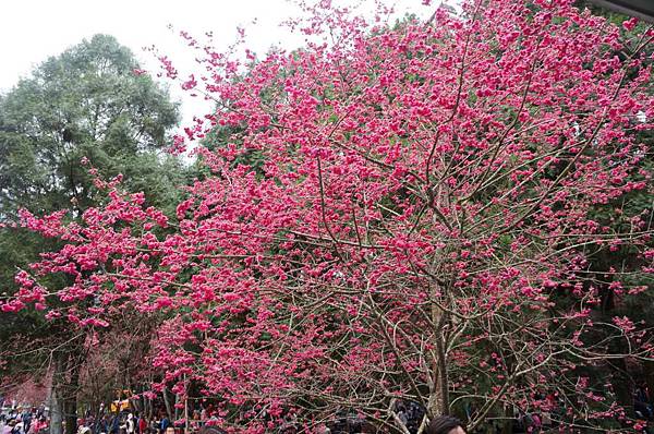 DSC01571_decrypted-1024.jpg DSC01571_decrypted-1024.jpg