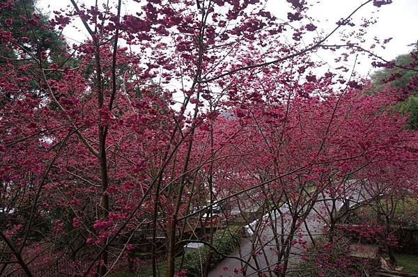 DSC01576_decrypted-1024.jpg DSC01576_decrypted-1024.jpg