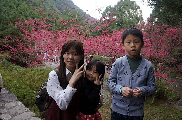 DSC01593_decrypted-1024.jpg DSC01593_decrypted-1024.jpg