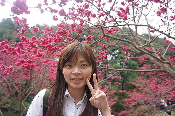 DSC01632_decrypted-1024.jpg DSC01632_decrypted-1024.jpg