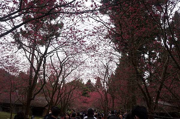 DSC01639_decrypted-1024.jpg DSC01639_decrypted-1024.jpg