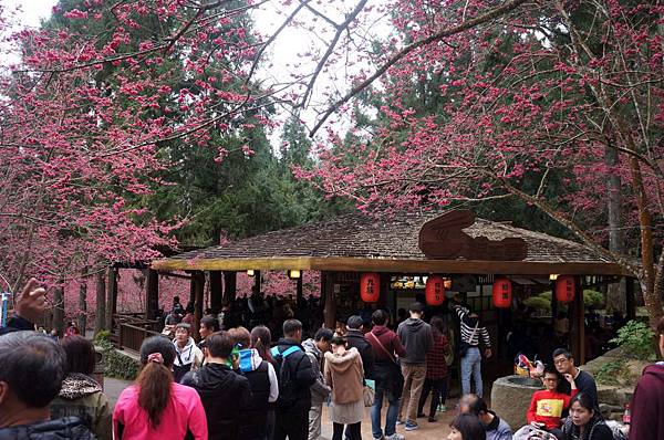 DSC01640_decrypted-1024.jpg DSC01640_decrypted-1024.jpg